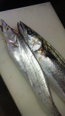 110226_1038171.jpg